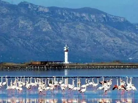 Сasa de vacaciones Casa Elena Gersi Deltebre